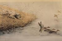 After Leon Danchin. Coloured etching depicting a spaniel hunting dog flushing out ducks