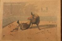 A pair of 19thC hand coloured engravings of cock fighting