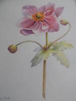 Joanna Woode. Japanese anemone