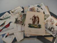 Over 60 miscellaneous prints