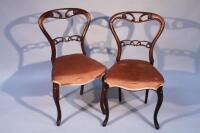 A pair of Victorian balloon back dining chairs.