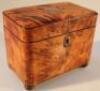 A Regency blonde tortoiseshell tea caddy