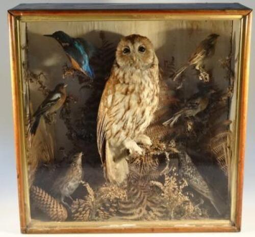 A cased taxidermy diorama of British wild birds