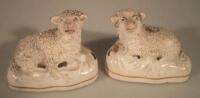 A pair of 19thC Staffordshire pottery recumbent sheep