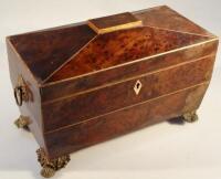 An early 19thC yew sarcophagus tea caddy