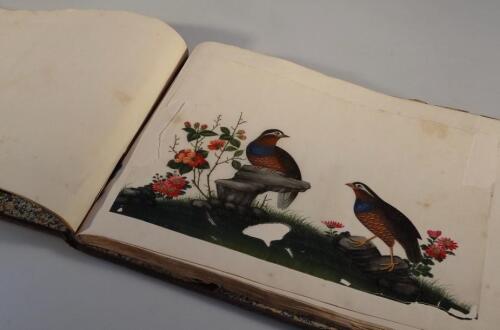 19thC Chinese School. Twelve Chinese pith paper paintings of exotic birds