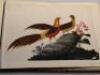 19thC Chinese School. Twelve Chinese pith paper paintings of exotic birds - 2