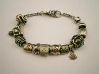 An Amara ladies charm bracelet