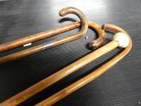 Walking sticks and cane (4).