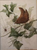 Cecil Hodgkinson. Jenny Wren and Spider