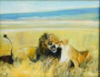 20thC School. Lions in an African setting