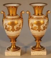 A pair of 19thC vases