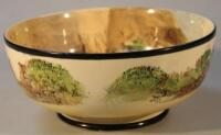 A Royal Doulton Seriesware bowl