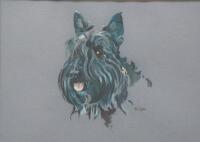 M L Upton. West Highland terrier