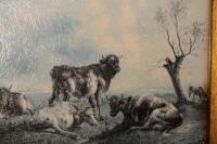 20thC school. Cattle in a landscape