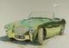 Martin T Rodgers. A watercolour painting of an Austin Healey 100