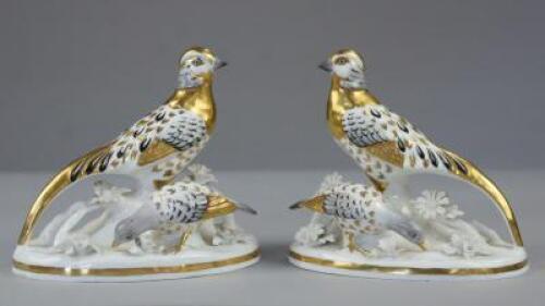 A pair of Crown Staffordshire porcelain bird groups