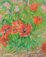 Pamela Scott (b1937). Poppies