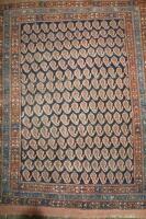 An Eastern rug