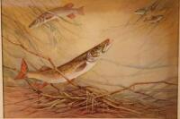 James Edwin Dean (fl.1830-1935). Studies of pike and a perch