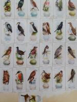 A quantity of early 20thC cigarette cards