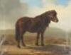 Eugene Verboeckhoven (1798-1881 Belgian). Study of a Shetland pony in a moorland landscape