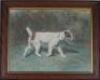 A 20thC English School. Study of a terrier - 2