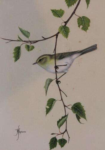 A J Hopkinson (20thC). Bird on a branch and another