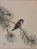 A J Hopkinson (20thC). Bird on a branch and another - 4