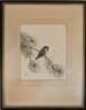 A J Hopkinson (20thC). Bird on a branch and another - 5