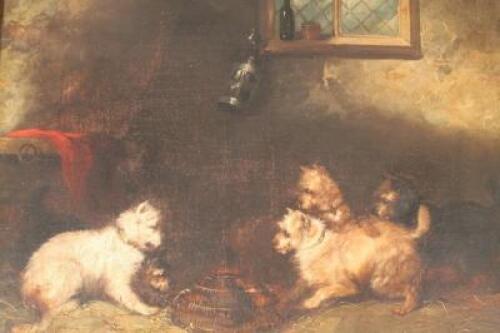 George Armfield (1808-1893). Terriers rat catching in a barn