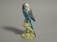 A Beswick Budgerigar