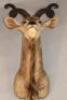 A Karl Human taxidermy kudu head