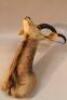 A Karl Human taxidermy kudu head - 2