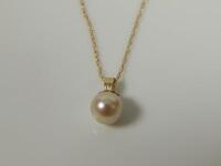 A pearl pendant and chain