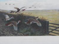 After Archibald Thorburn. Among The Heather