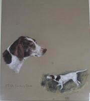 *Mary Browning (20thC). FT. Ch. Cornbury Dinah gun dog profile and on a moor