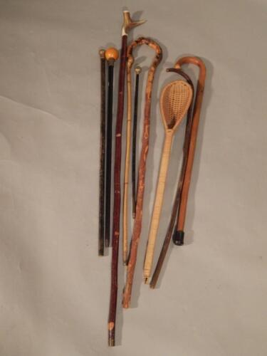 A collection of walking sticks