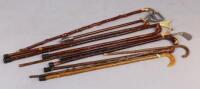 A quantity of walking sticks