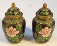 A pair of early 20thC Chinese cloisonne vases