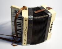 A cased Ludwig 'The Antoria' accordian.