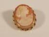 A 9ct gold shell cameo brooch