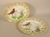 Two similar Royal Doulton meat dishes