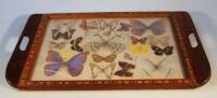 A mid-20thC parquetry tea tray