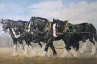 After R E Reynolds. Heavy horses