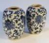 A pair of Chinese porcelain blue and white vases