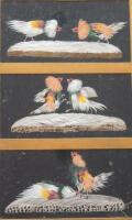 A 19thC triptych of feather pictures