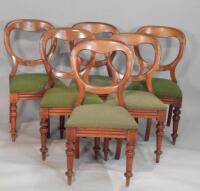 A set of six Victorian mahogany balloon back dining chairs