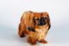 A Royal Doulton Pekingese dog