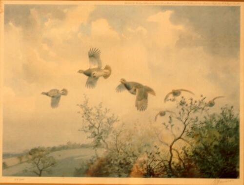 After J C Harrison. A pair of limited edition prints depicting grouse in flight